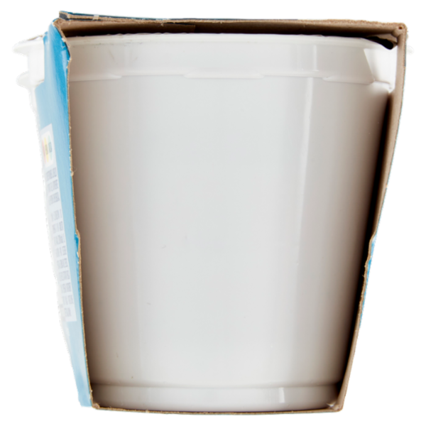 IL GIGANTE Yogurt Intero Mirtillo 2 x 125 g