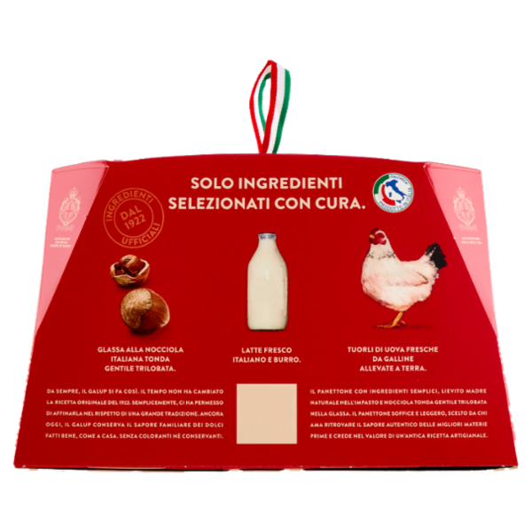 Galup il Panettone Goloso con Glassa alle Nocciole 750 g