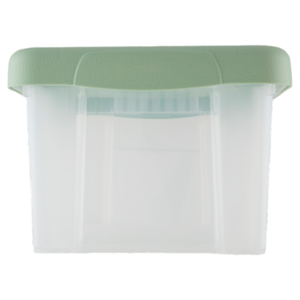 Selex Contenitore con Coperchio a Scatto Verde Cammeo 5 L