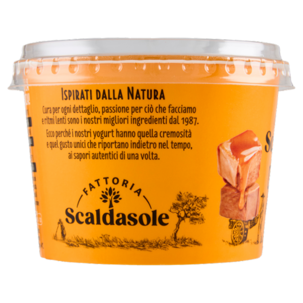Fattoria Scaldasole Caramello yogurt biologico 250 g