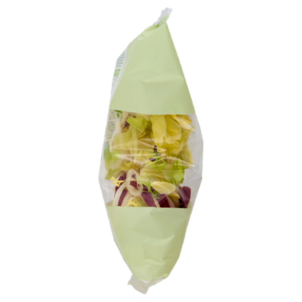 Selex Natura Chiama Insalata Mista con Cipolla Lavata e Pronta per il Consumo 200 g