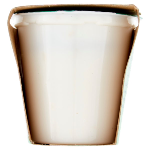 Arborea Yogurt Zero Grassi Agrumi in pezzi 2 x 125 g