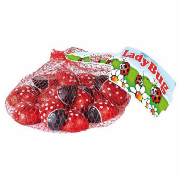 Laica Retina Coccinelle 100g
