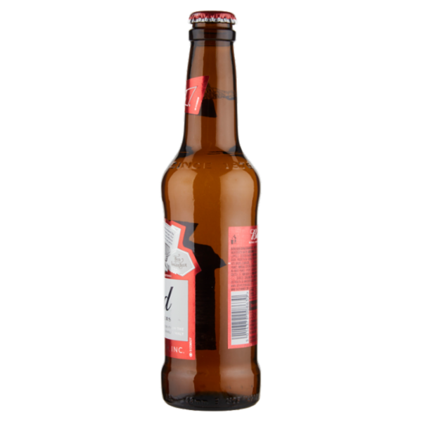 BUD Birra lager americana bottiglia 33cl