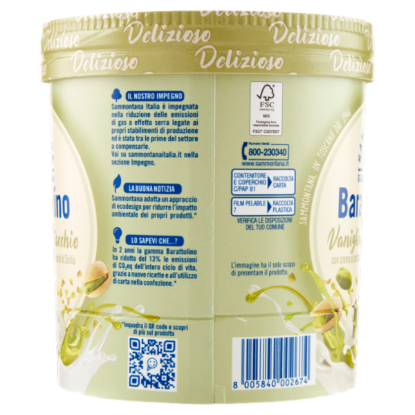 Sammontana Barattolino Delizioso Vaniglia e Pistacchio 500 g