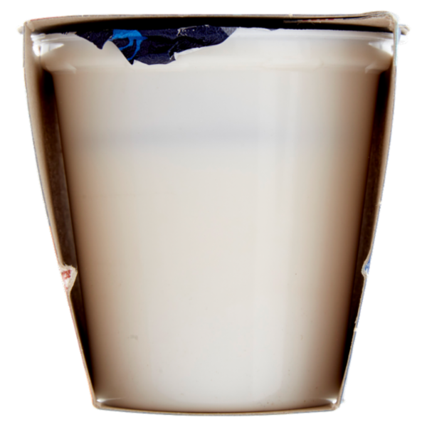 Latteria Brunico Yogurt Cremoso Frutta Frullata Albicocca 2 x 125 g