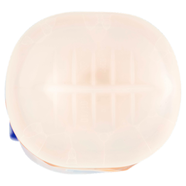 KH-7 Sgrassatore Cucina Limone 750 ml