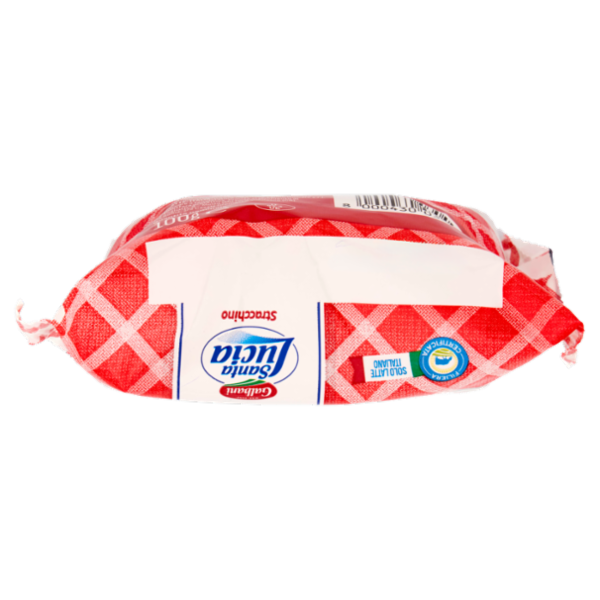 Galbani Santa Lucia Stracchino 100 g