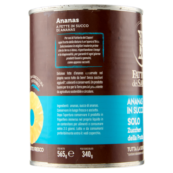 Fattoria dei Sapori Ananas in Succo 565 g