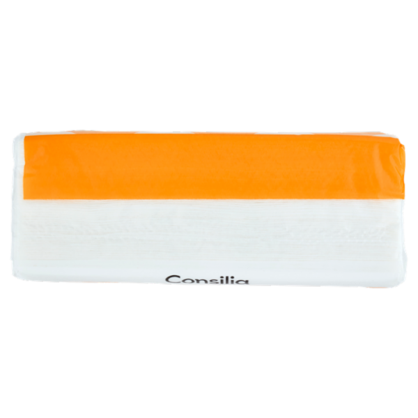 Consilia Asciugatutto 2 Veli Compatto 150 Maxi Fogli