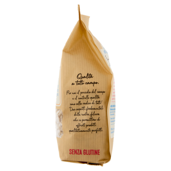 Dalla Buona Terra pedon Senza Glutine Fagioli cannellini decorticati 350 g