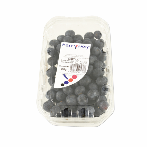 Mirtilli 250g