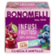 Bonomelli Infusi Fruttosi 100% Naturali Ciliegia e Mirtillo 12 Filtri 24 g