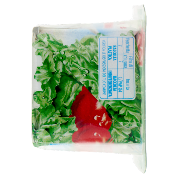 Nonno Nanni Robiola di Capra 100 g