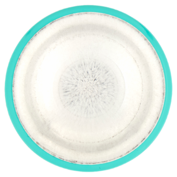 L'Oréal Paris Ritocco Perfetto Spray Istantaneo Ritocco Radici, i Bruni, 75 ml