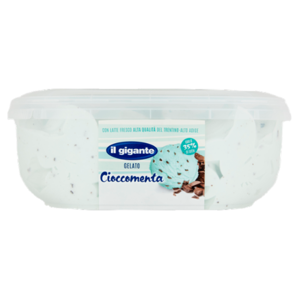 IL GIGANTE Gelato Cioccomenta 500 g