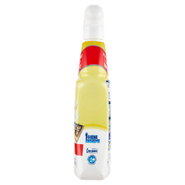 Napisan Sgrassatore Disinfettante 740 mL