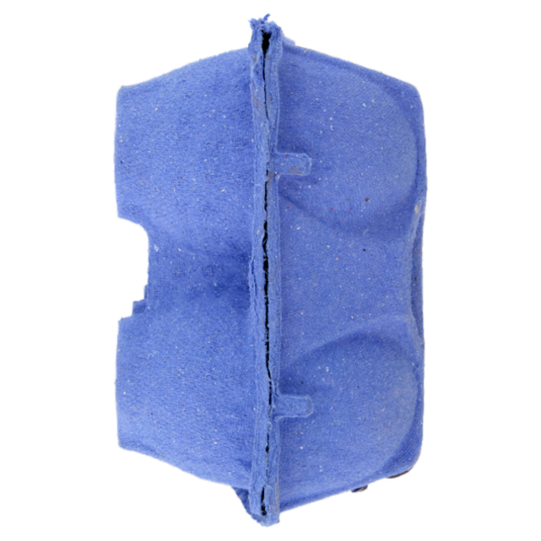 IL GIGANTE 10 Uova da allevamento a terra Uova Medie