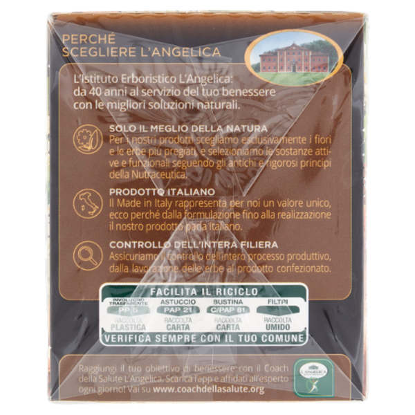 L'Angelica Japanese Ritual Tea Tè Genmaicha Aromatizzato Mandorla e Fiori d'Arancio 15 Filtri 22,5 g