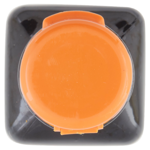 Plasmon Olio Extra Vergine di Oliva 250 ml