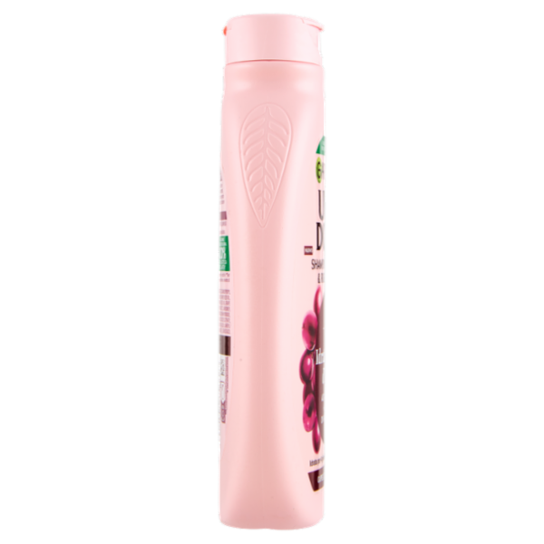 Garnier Ultra Dolce Shampoo Idratante & Rigenerante Idratazione d'Uva 250 ml