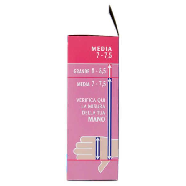 IL GIGANTE Guanti Monouso in Nitrile Media 7 - 7,5 40 Guanti