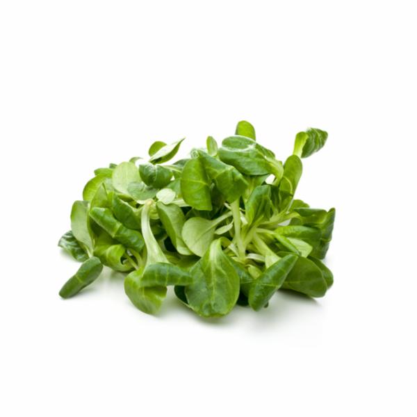 L'Insalata dell'Orto valeriana 100g