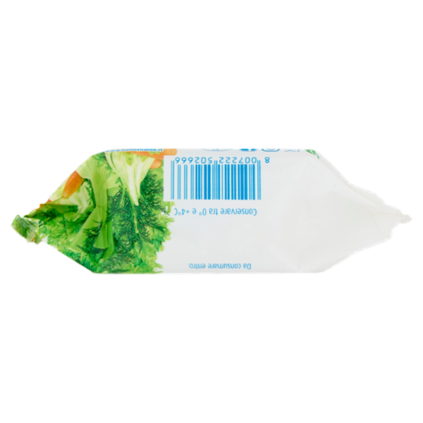 Nonno Nanni stracchino con fermenti lattici vivi dello Yogurt 100 g