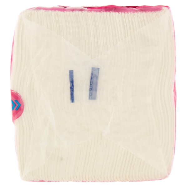 Regina Asciugamani Monouso in carta 100 pezzi