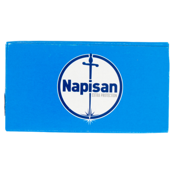 Napisan Additivo Polvere Disinfettante Battericida 500 gr