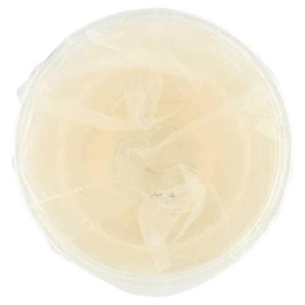 Vanto Bicchieri in PLA Trasparenti e Compostabili 575 cc 50 pezzi