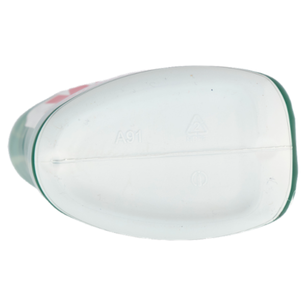 WC Net Disincrostante gel 700 ml