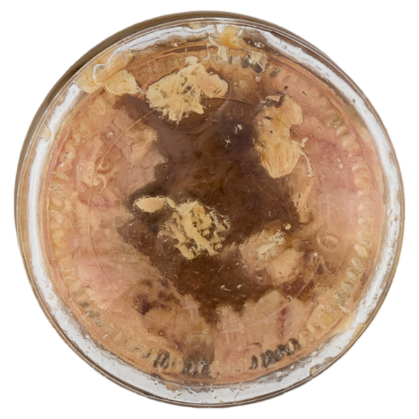 Angelo Parodi Filetti di Tonno in Olio d'Oliva 178 g