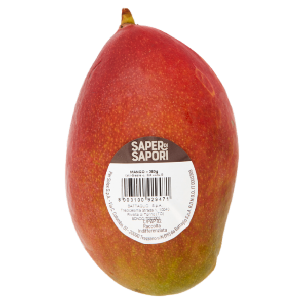 Selex Saper di Sapori Mango 380 g