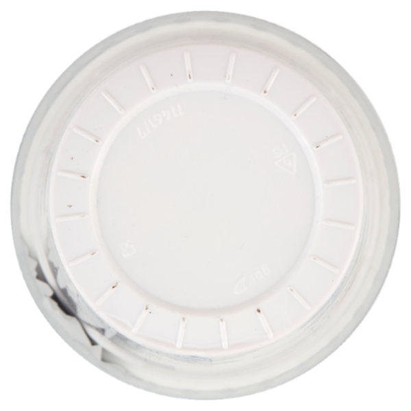 Sterzing Vipiteno Yogurt intero Mirtillo 500 g