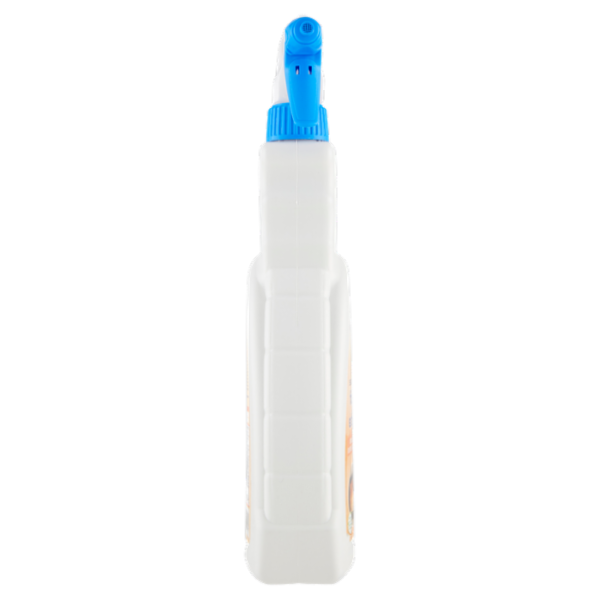 Selex Casa Bella Sgrassatore Energico per Fuliggine e Barbecue 750 ml