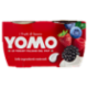 Yomo i Frutti di bosco 2 x 125 g