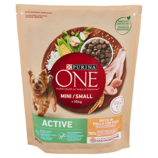 PURINA ONE Mini/Small Active Pollo con Riso 800 g