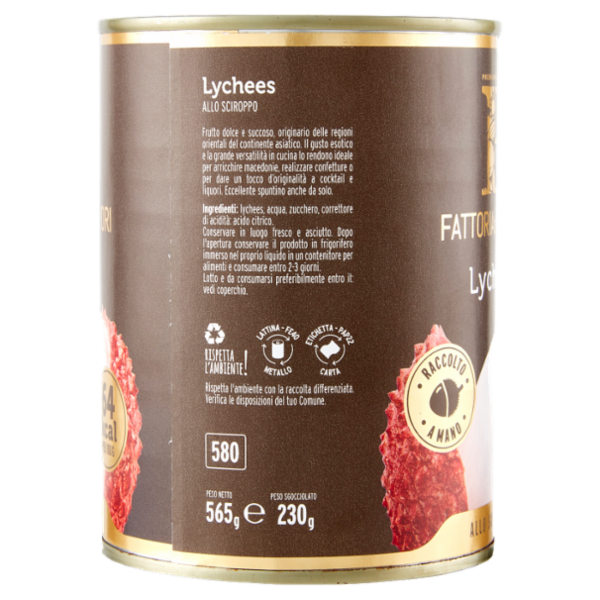 Fattoria dei Sapori Lychees allo Sciroppo 565 g