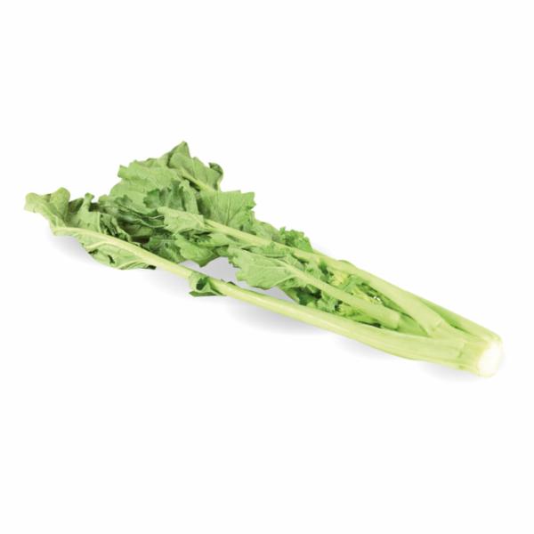 BIETOLE ERBETTE LIGURIA