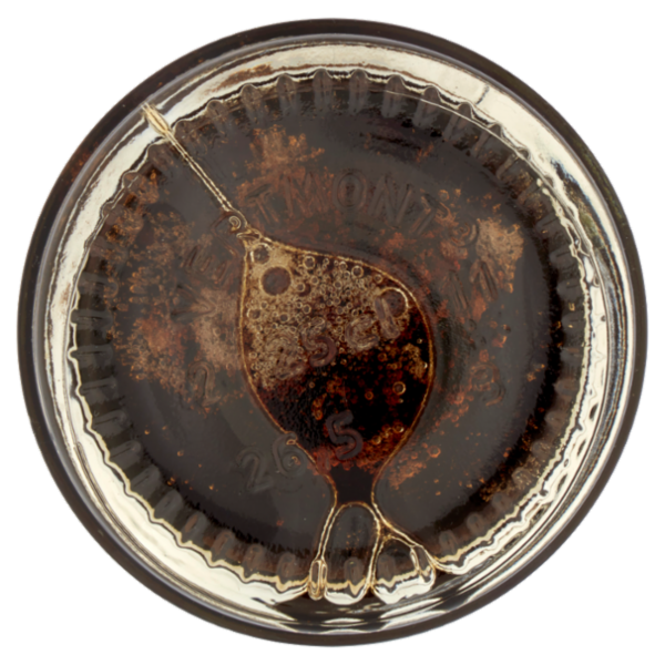 F.lli Rebecchi Valtrebbia Sciroppo d'Acero 250 ml