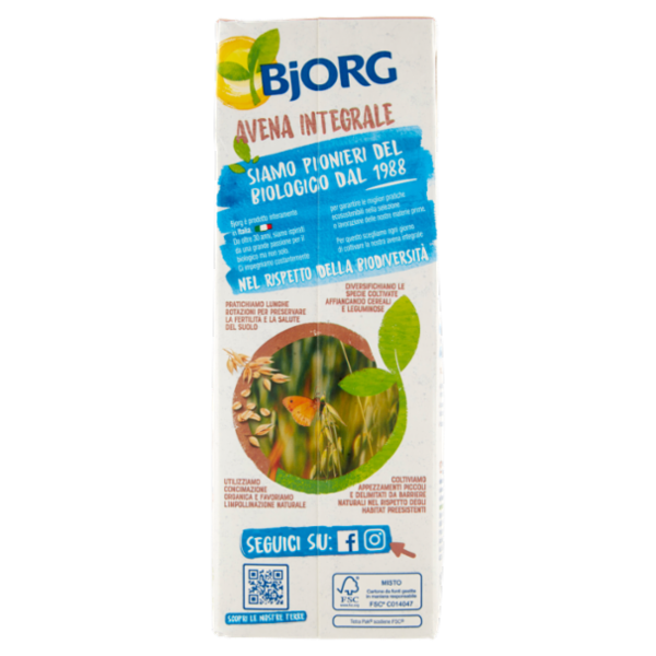 BJORG Avena Integrale Bevanda Vegetale Biologica, Senza Zuccheri Aggiunti, Prodotto in Italia, 1L