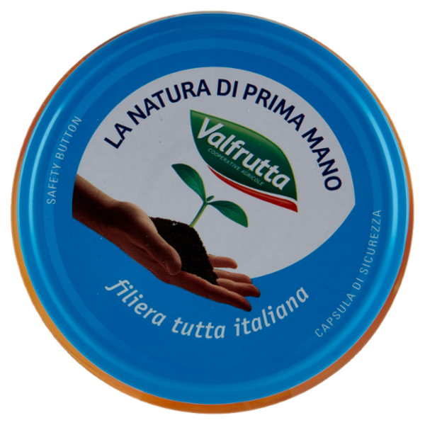 Valfrutta Pesche Italiane 570 g