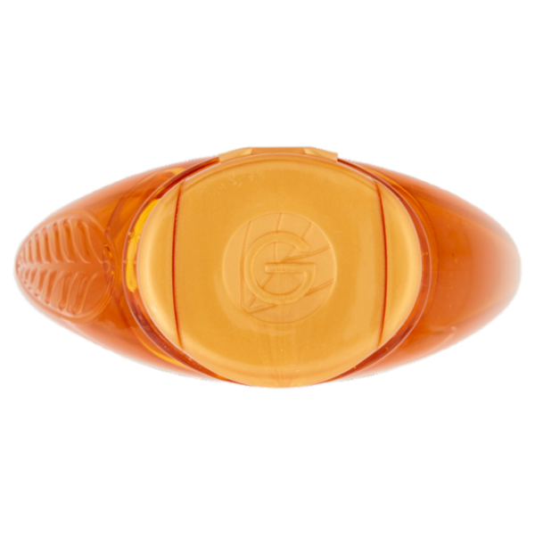 Garnier Ultra Dolce Shampoo Meraviglioso all'olio d'argan e di camelia per capelli secchi, 250 ml