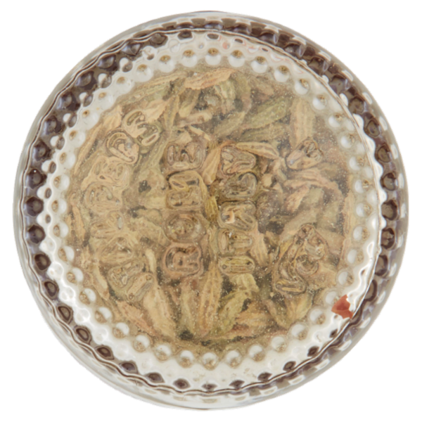 Italpepe Finocchio Semi 23 g