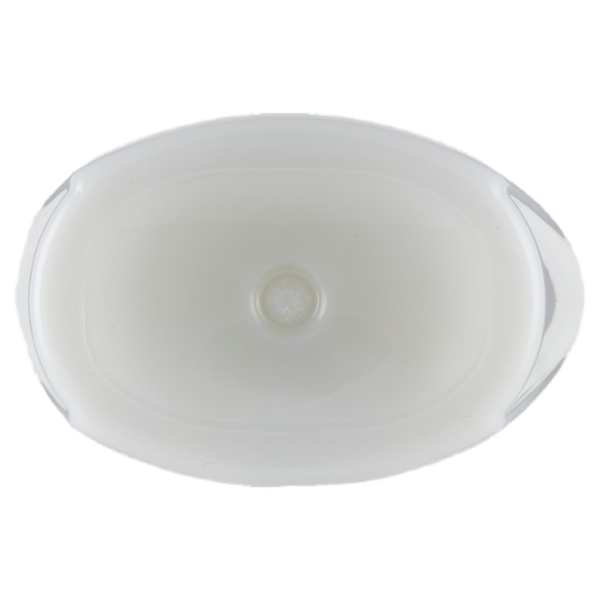 Elvive Energizzante Shampoo Purificante, per Capelli Normali, Tendenti ad Ingrassarsi, 300 ml