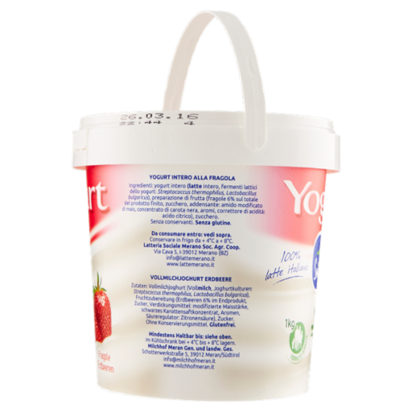 val Senales Yogurt Fragole 1 kg
