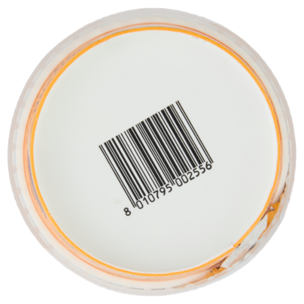 Fattoria Scaldasole Nocciola yogurt biologico 250 g