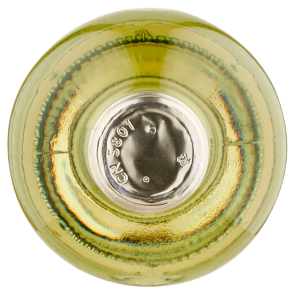 Terredavino Cortese dell'Alto Monferrato DOC Vino Frizzante 75 cl