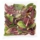 Cicorino Misto busta 100 g